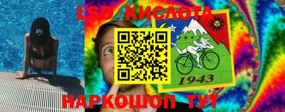 spice Кунгур
