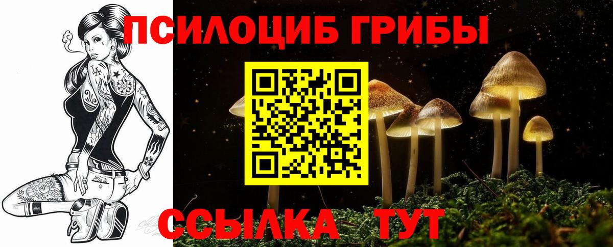 Псилоцибиновые грибы MAGIC MUSHROOMS  сколько стоит  Арзамас  Вход с VPN 